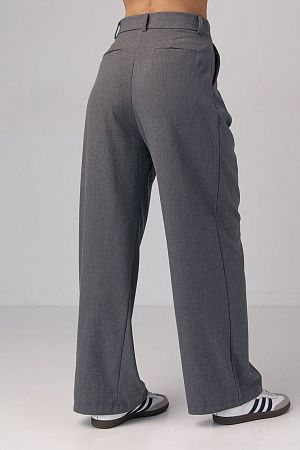 Класичні штани зі складками 08972, сірі